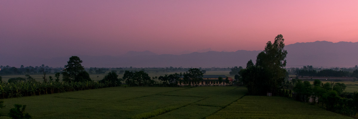 Beautiful mornings in Chitwan 2