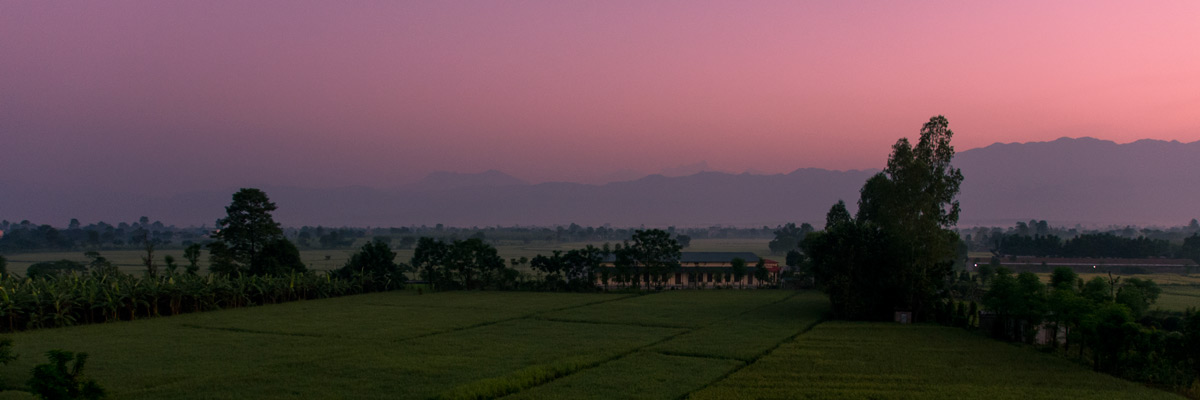 Annual Reports 1 Beautiful mornings in Chitwan 2