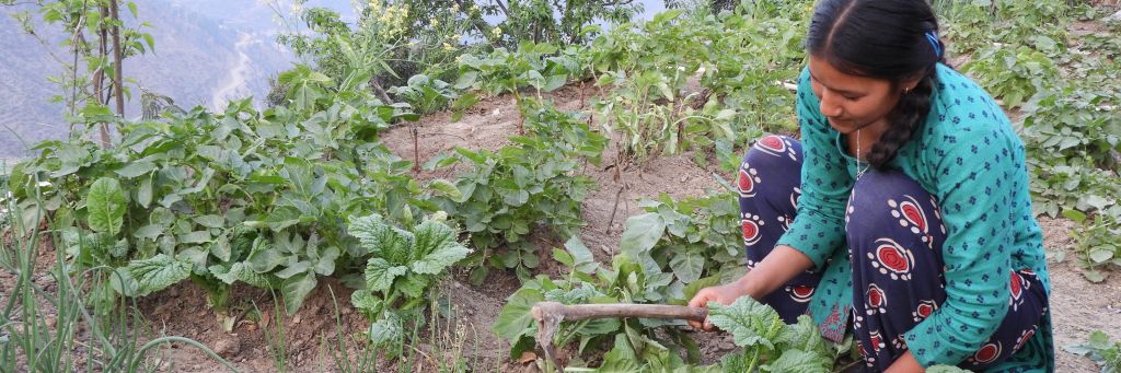 Asian Aid Partners 4 CAED Kitchen Garden Story 032022 Ganga Pun 2 1