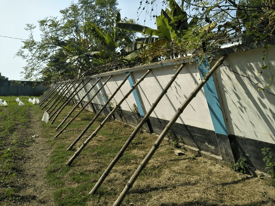 Maisie Fook School wall falling over